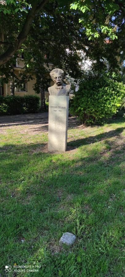 Stevan Sremac Sokobanja Exterior foto