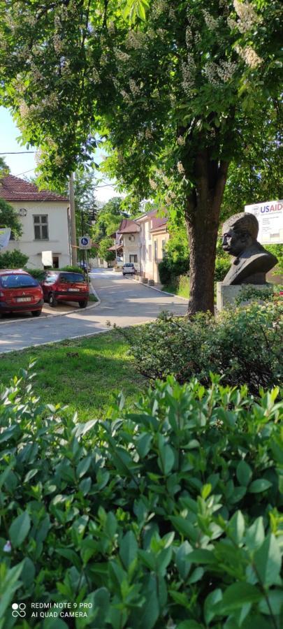 Stevan Sremac Sokobanja Exterior foto