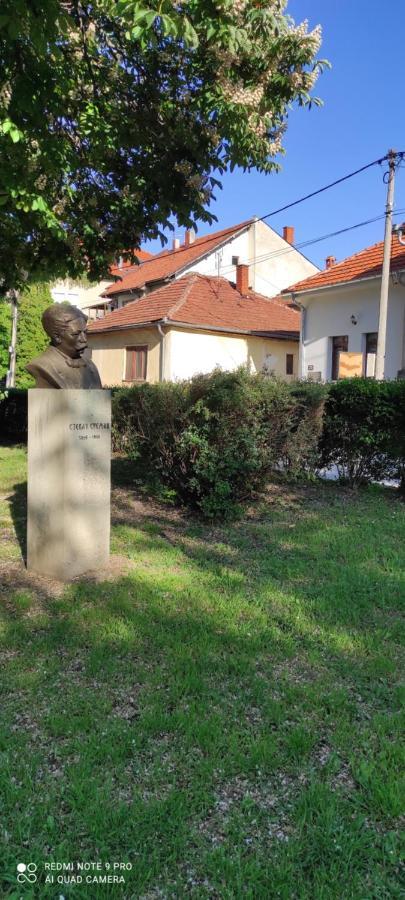 Stevan Sremac Sokobanja Exterior foto