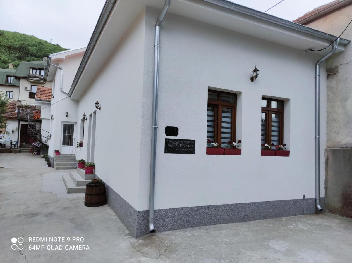 Stevan Sremac Sokobanja Exterior foto