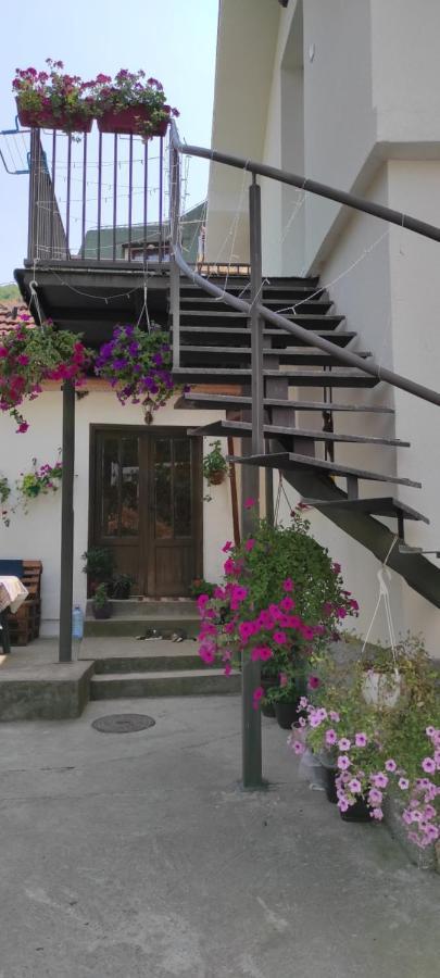 Stevan Sremac Sokobanja Exterior foto