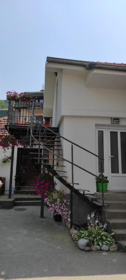Stevan Sremac Sokobanja Exterior foto