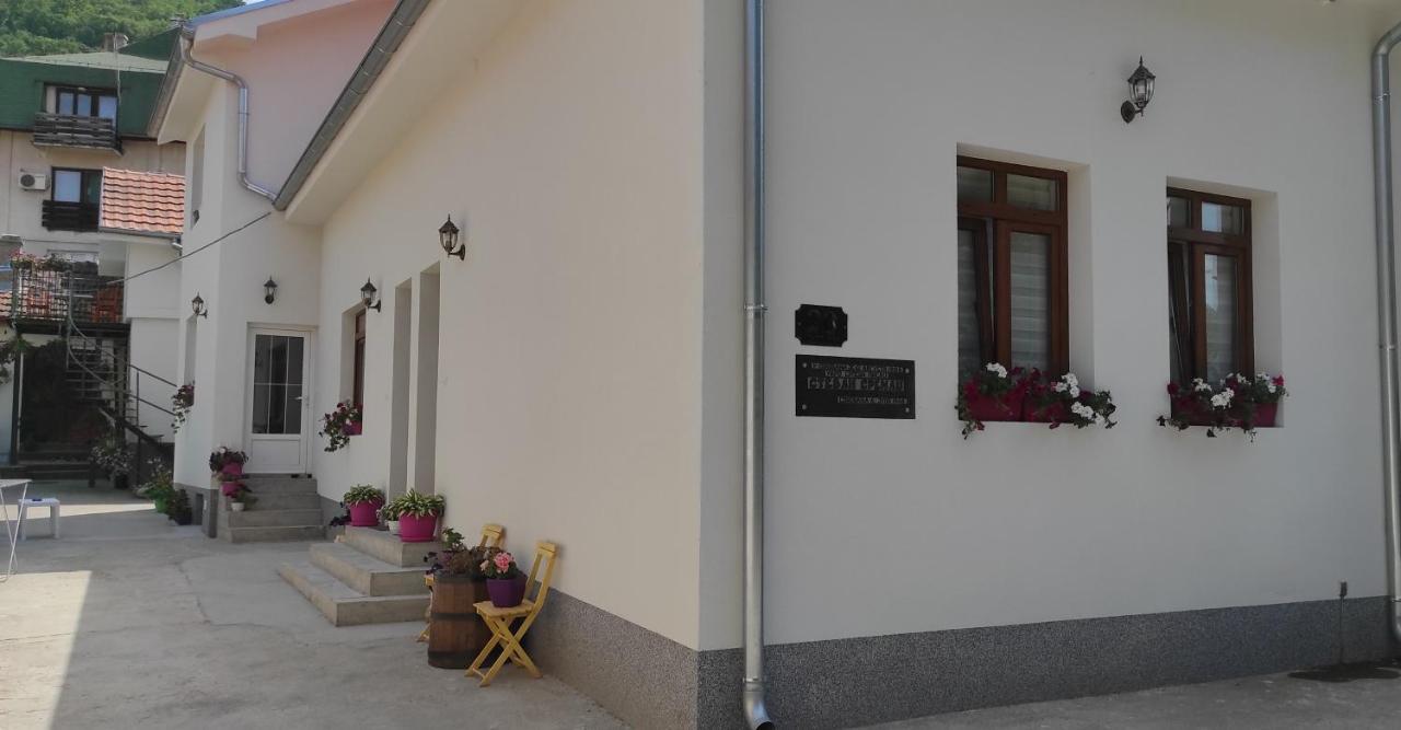Stevan Sremac Sokobanja Exterior foto